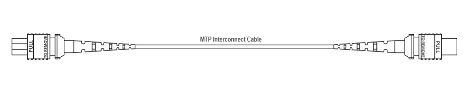 MTP Cable