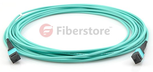 MTP patch cord