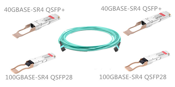 12-Fiber MTP Patch Cables