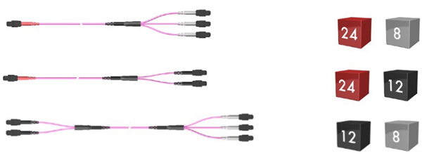 MTP Harness Cable